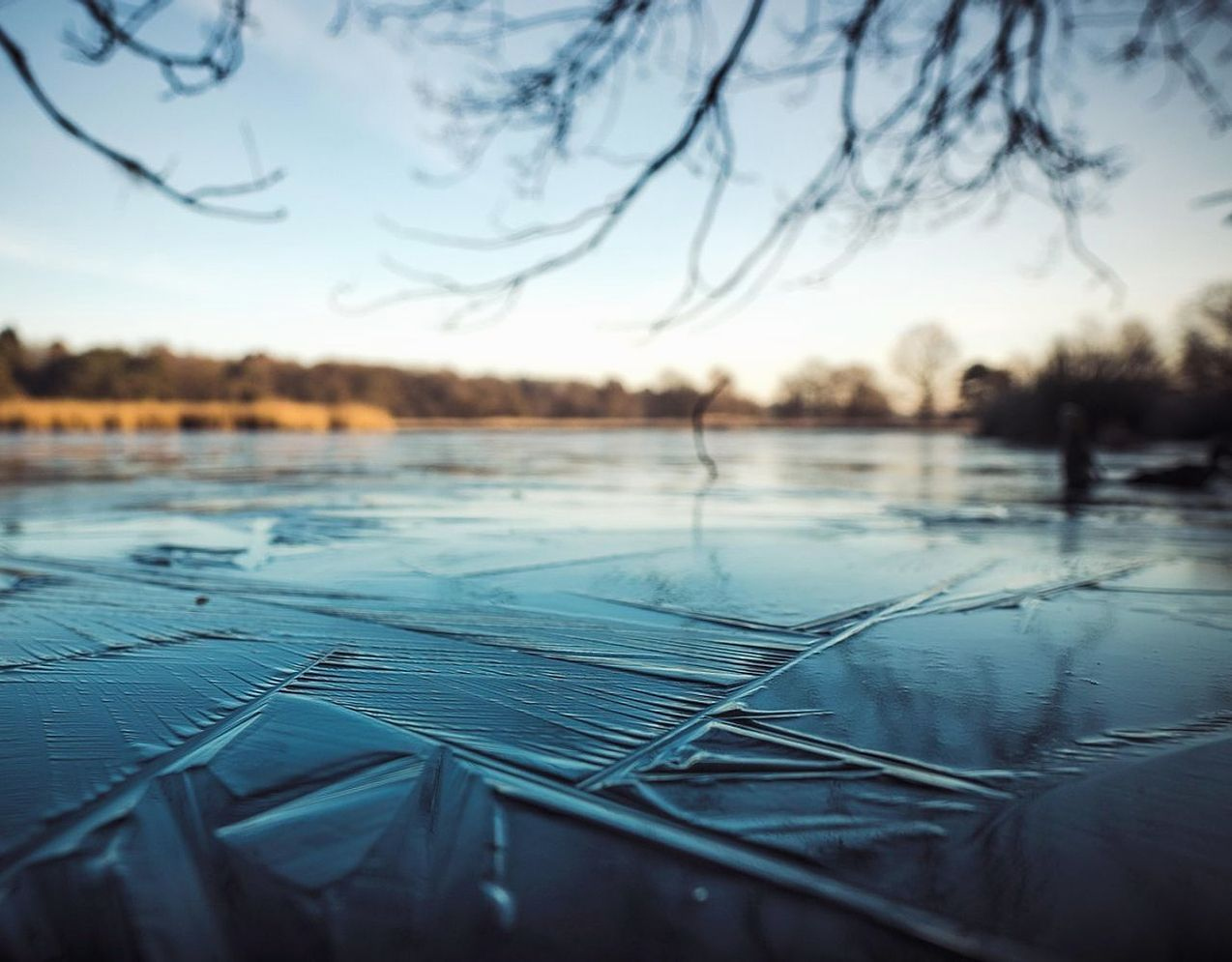 Un pescador revisando equipos de pesca de invierno junto a la ventana
